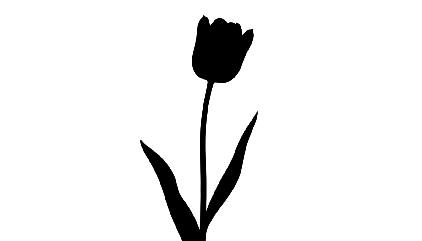 tulip silhouette png PNG transparent background
