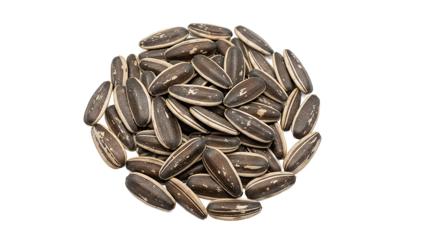 sunflower seeds png PNG transparent background