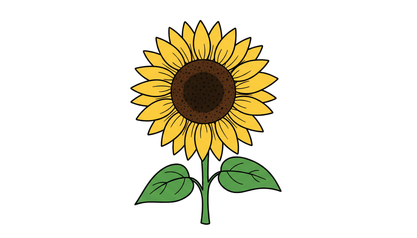 simple sunflower drawing png PNG transparent background