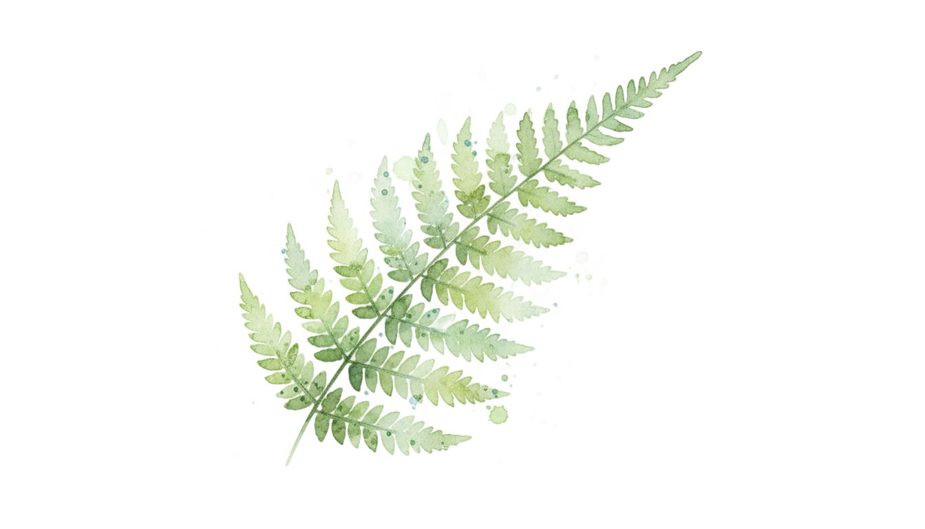 watercolor fern png PNG transparent background