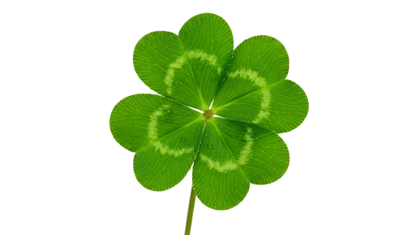 st patrick's day clover png PNG transparent background