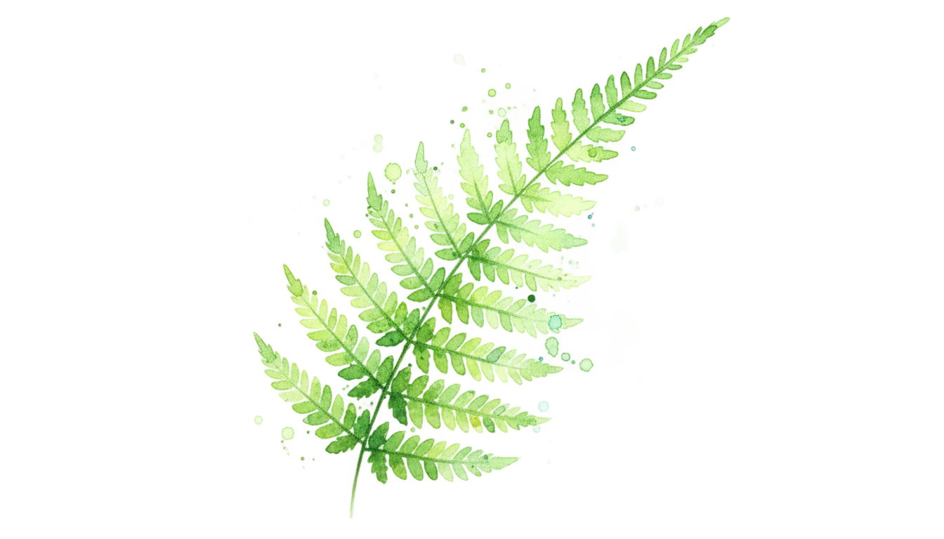 watercolor fern png PNG transparent background