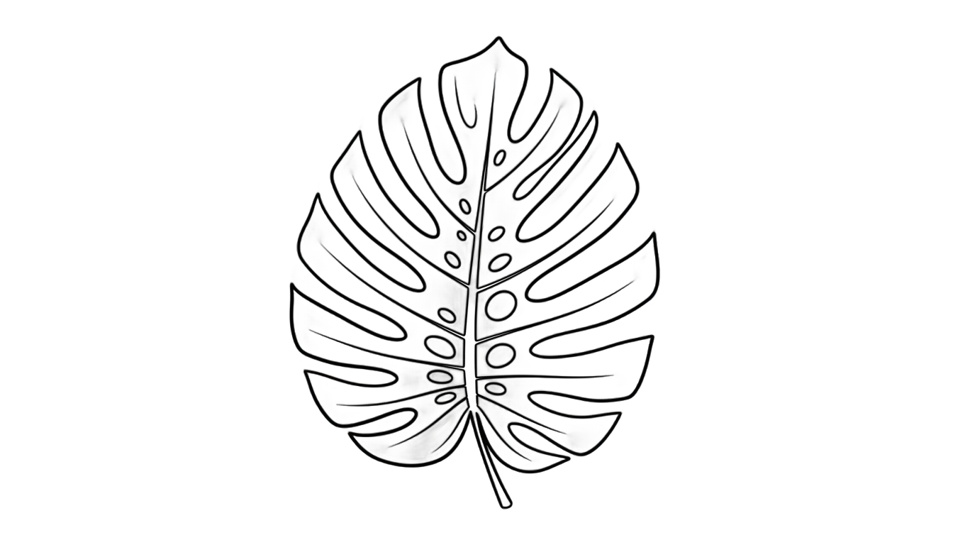 monstera drawing png PNG transparent background
