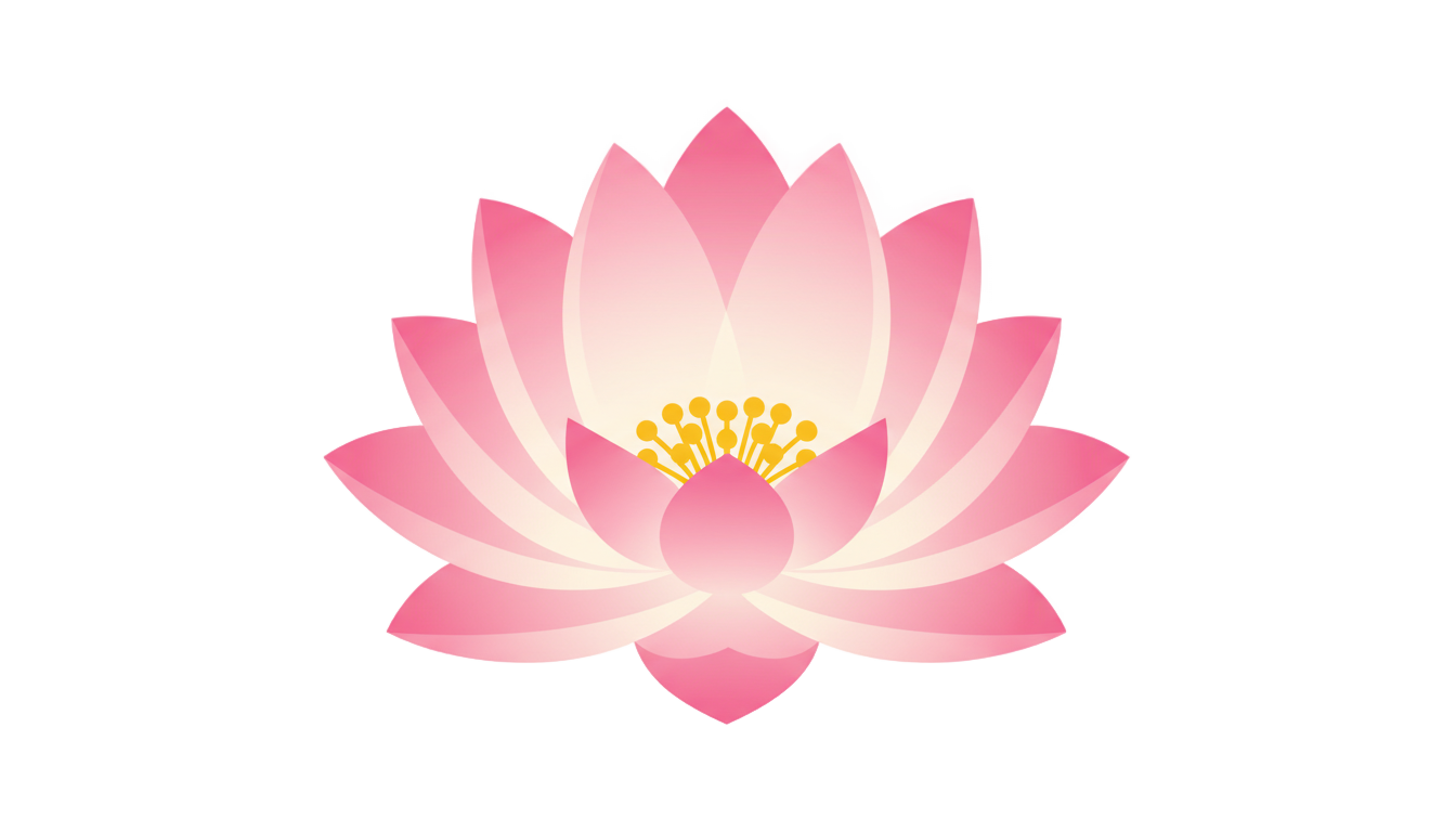 lotus flower vector png PNG transparent background