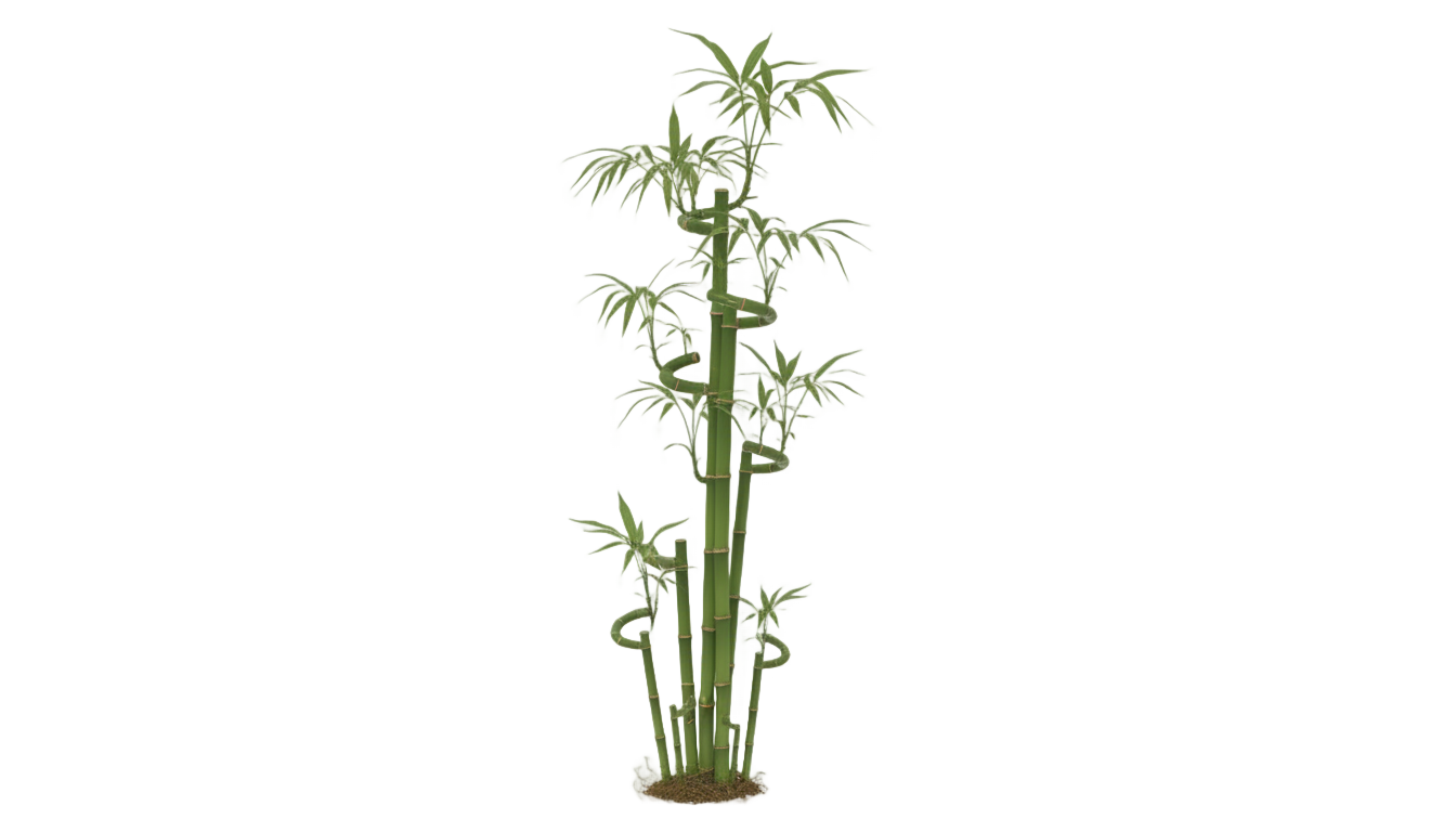 bamboo tree vector png PNG transparent background