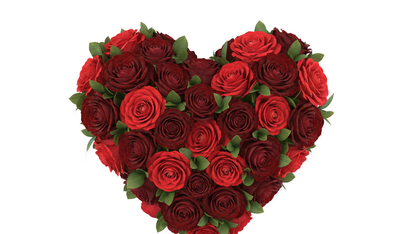rose heart png PNG transparent background