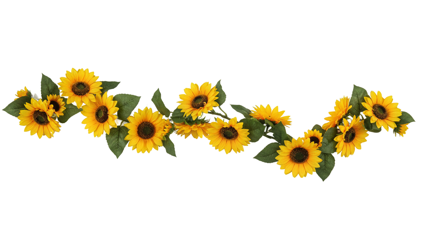 sunflower garland png PNG transparent background