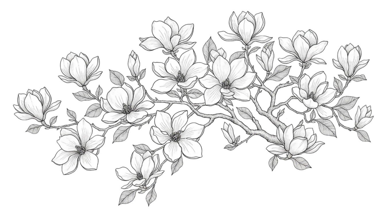 magnolia tree png black and white PNG transparent background