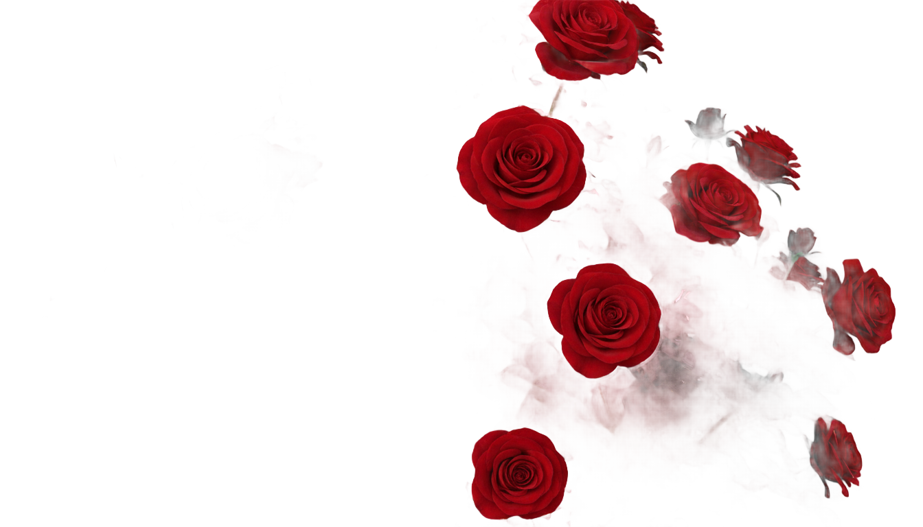 rose bush png PNG transparent background