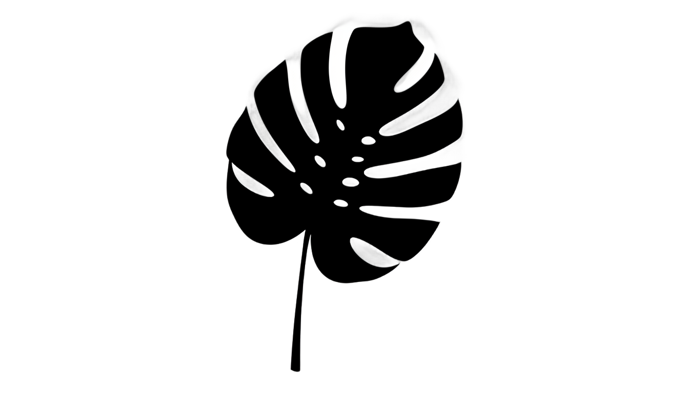 monstera png black and white PNG transparent background