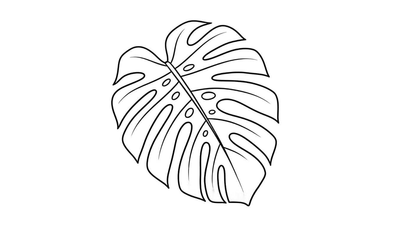 monstera line art png PNG transparent background