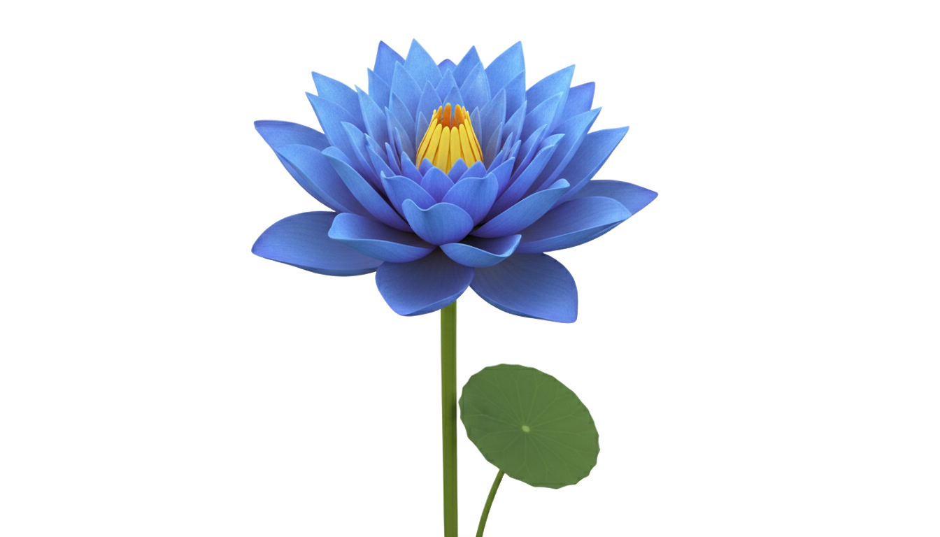 blue lotus png PNG transparent background