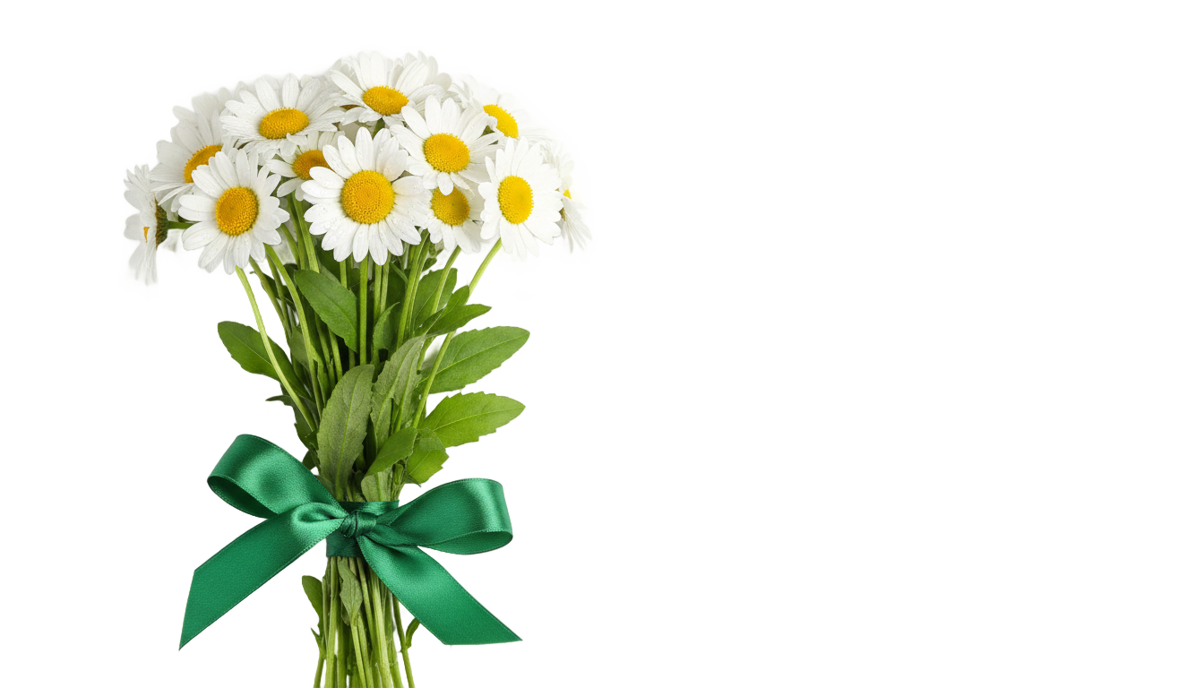 daisy bouquet png PNG transparent background