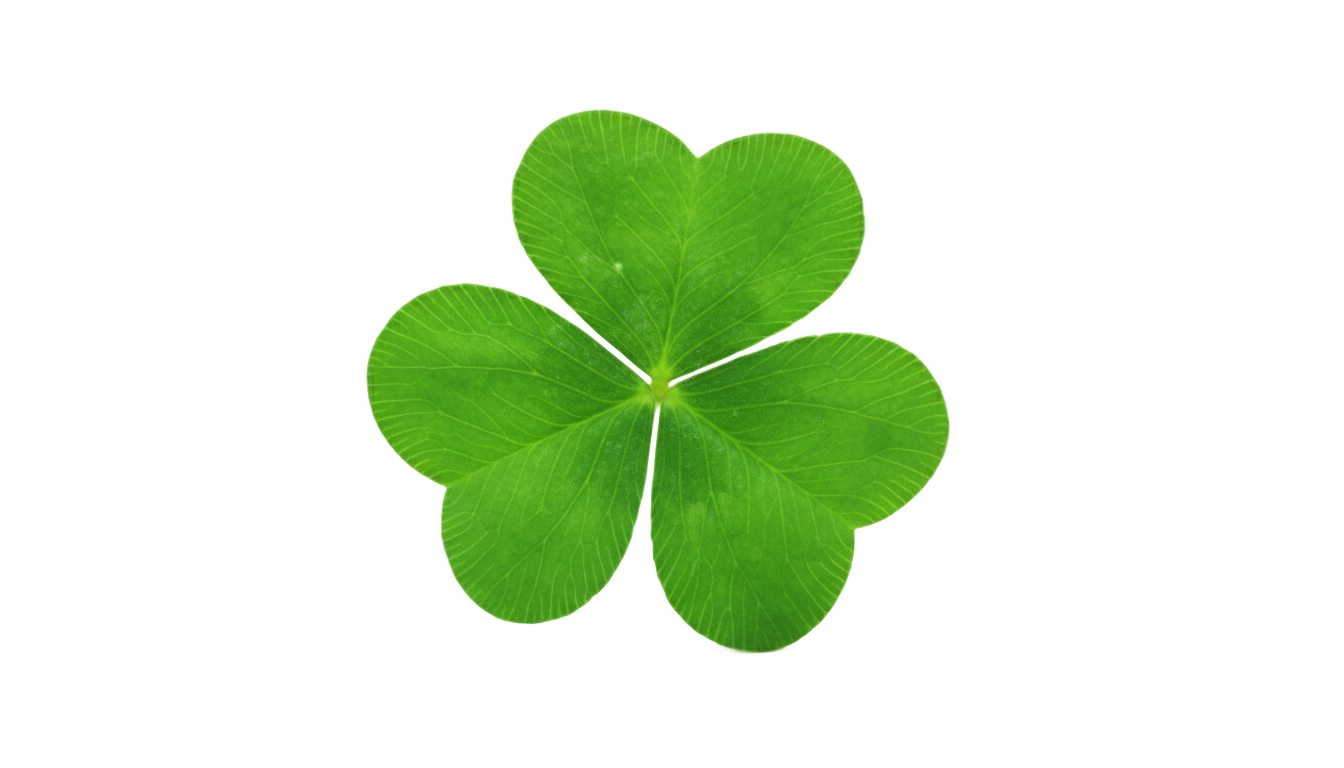 st patrick's day clover png PNG transparent background