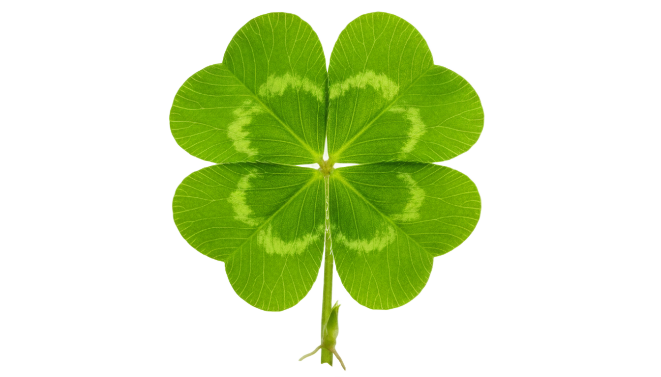 green clover png PNG transparent background