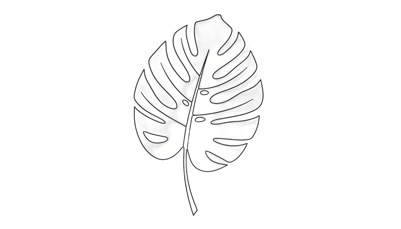 monstera outline png PNG transparent background