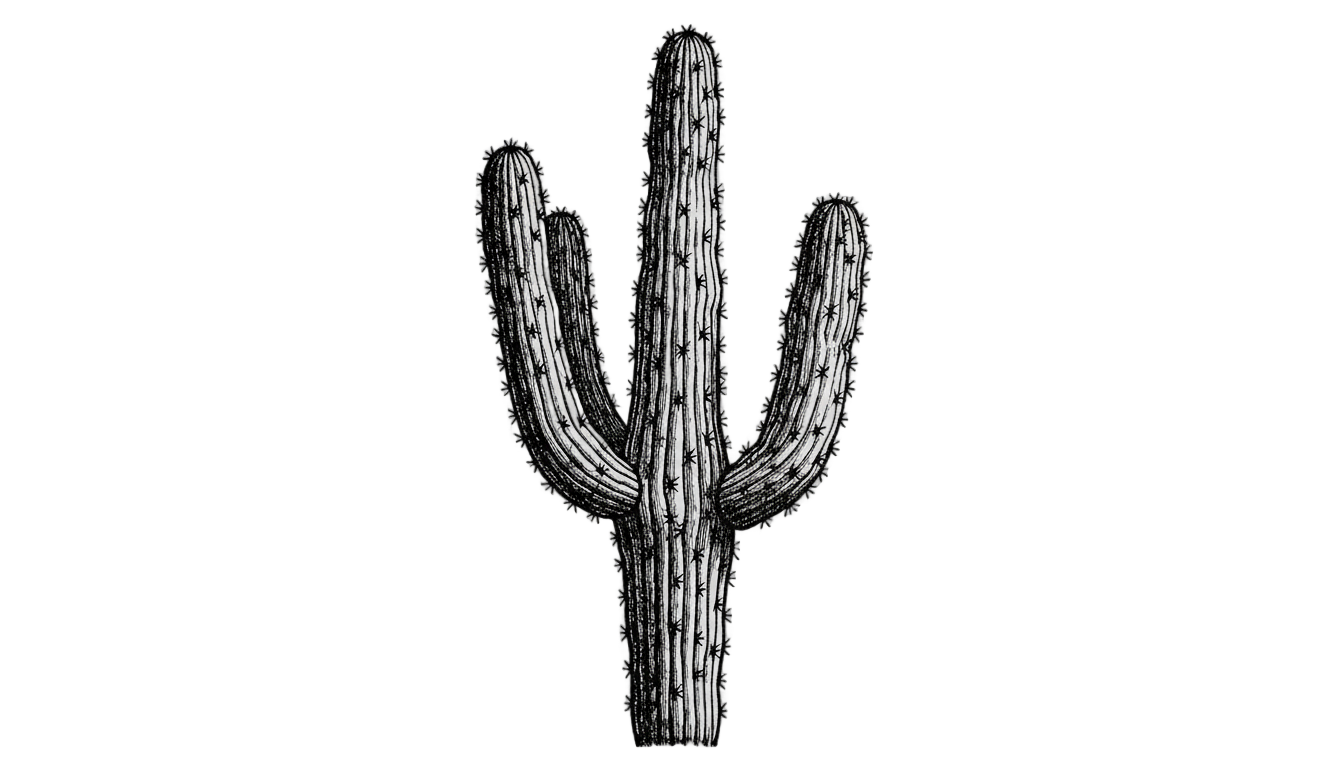 cactus png black and white PNG transparent background