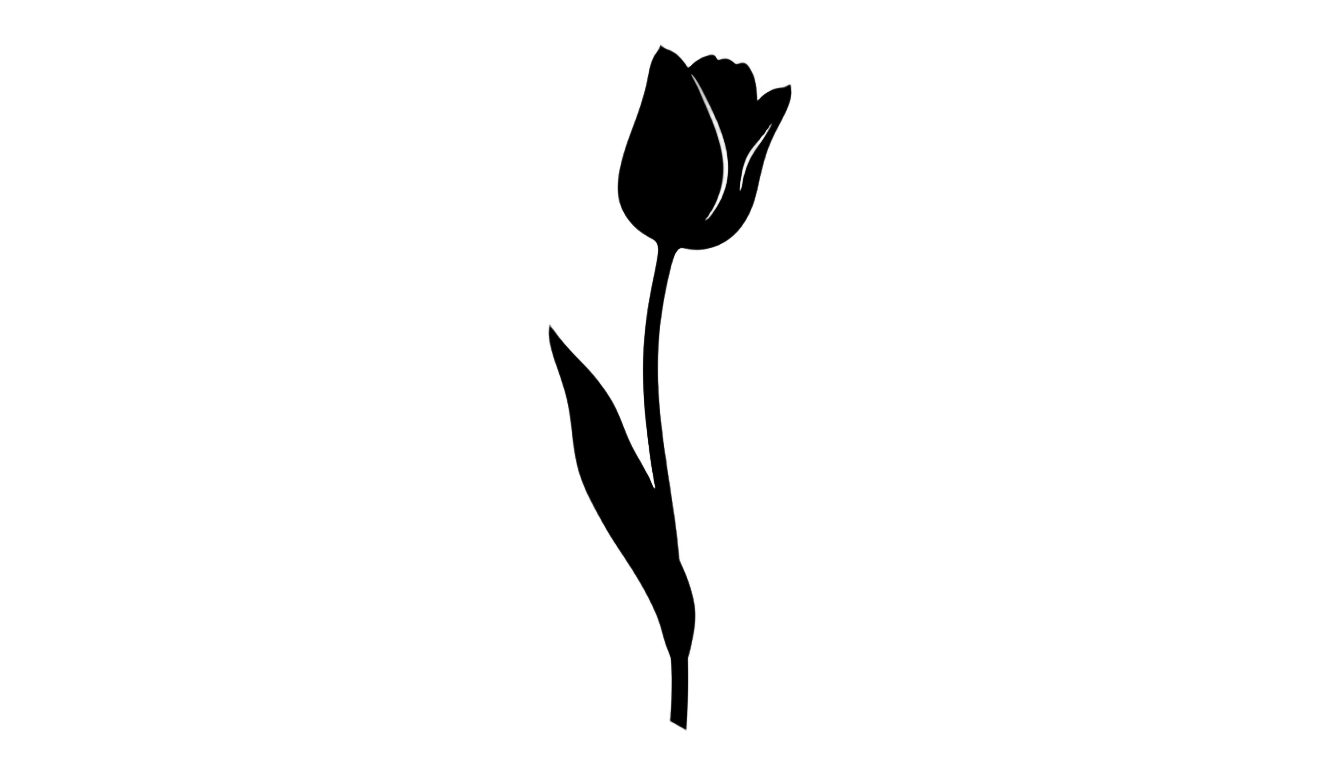 tulip silhouette png PNG transparent background