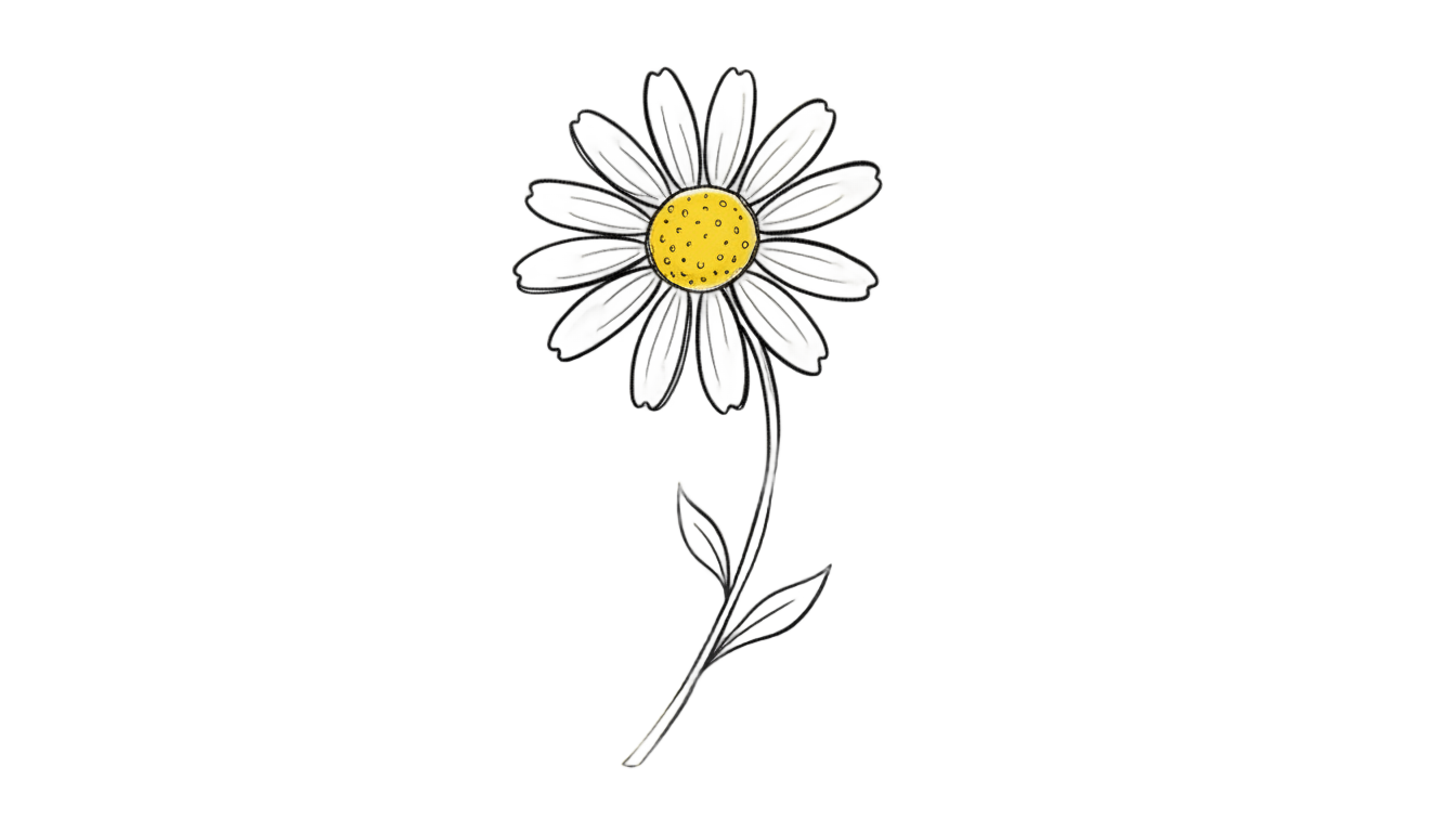 daisy doodle png PNG transparent background