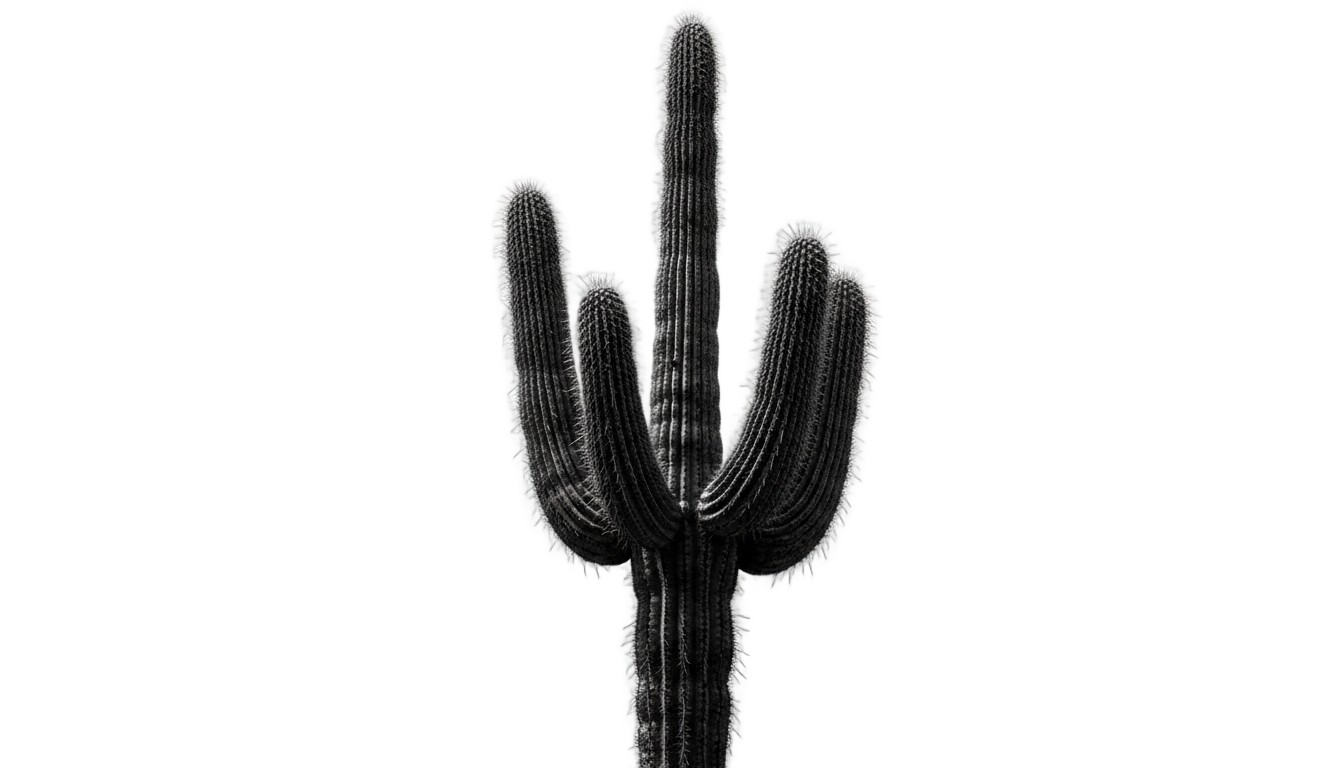 cactus png blanco y negro PNG transparent background