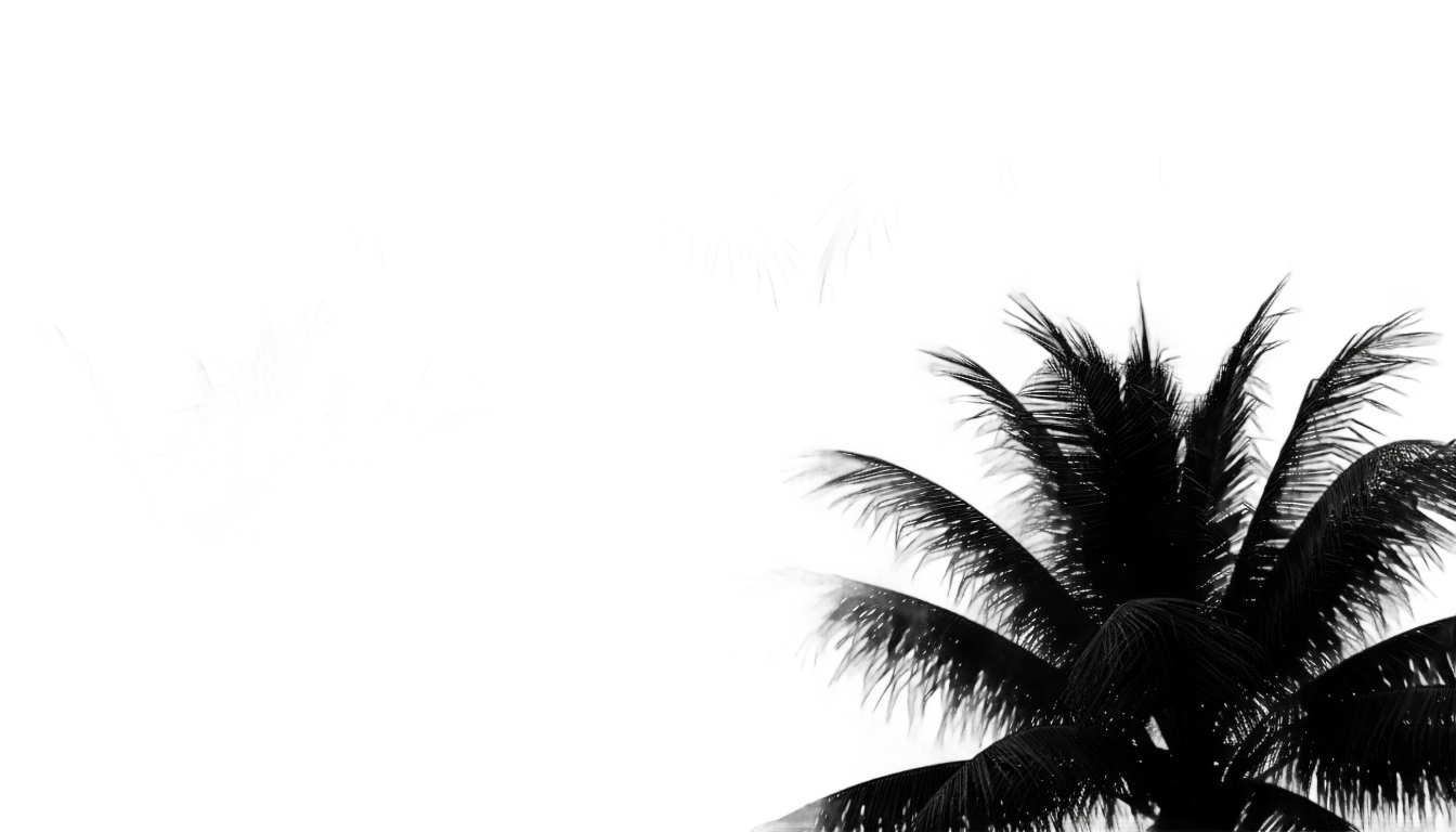 palm tree leaves silhouette png PNG transparent background