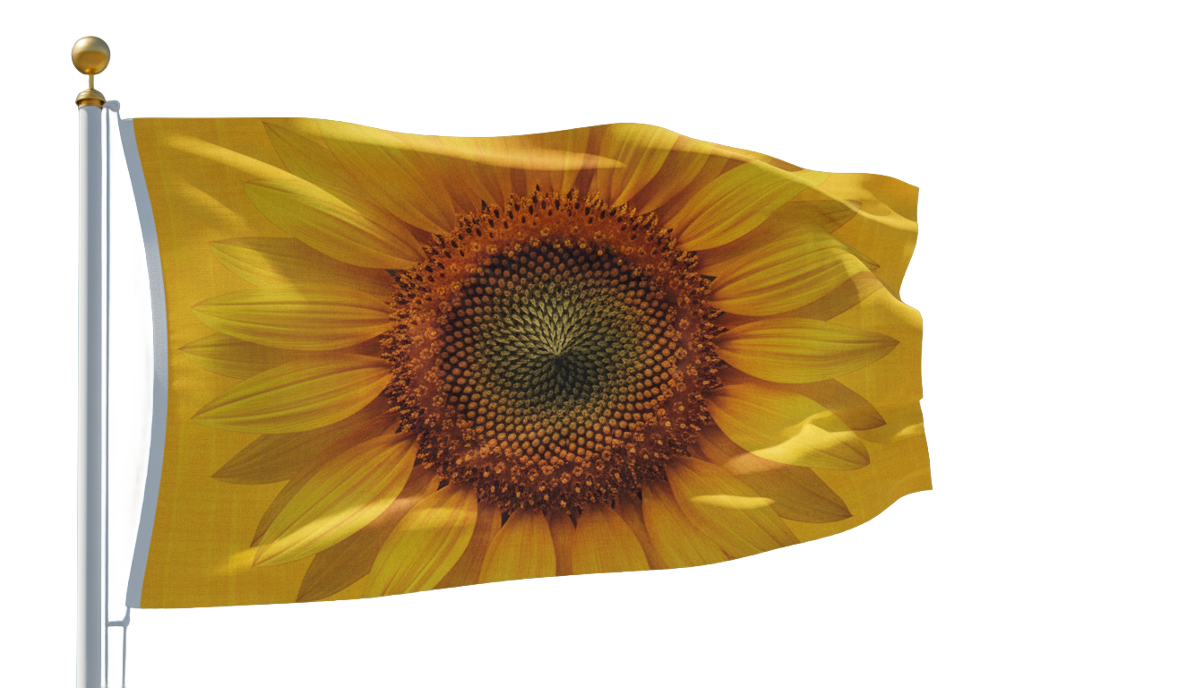 sunflower flag png PNG transparent background