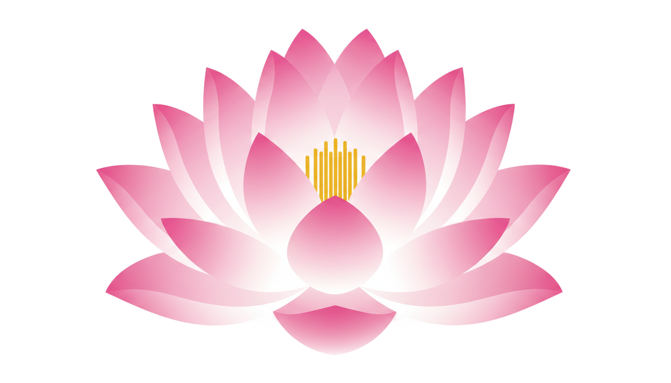 lotus flower vector png PNG transparent background