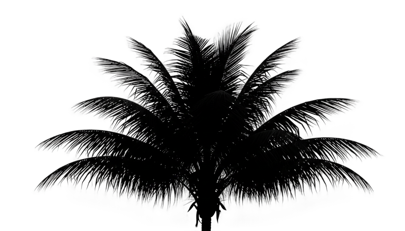 palm tree leaves silhouette png PNG transparent background