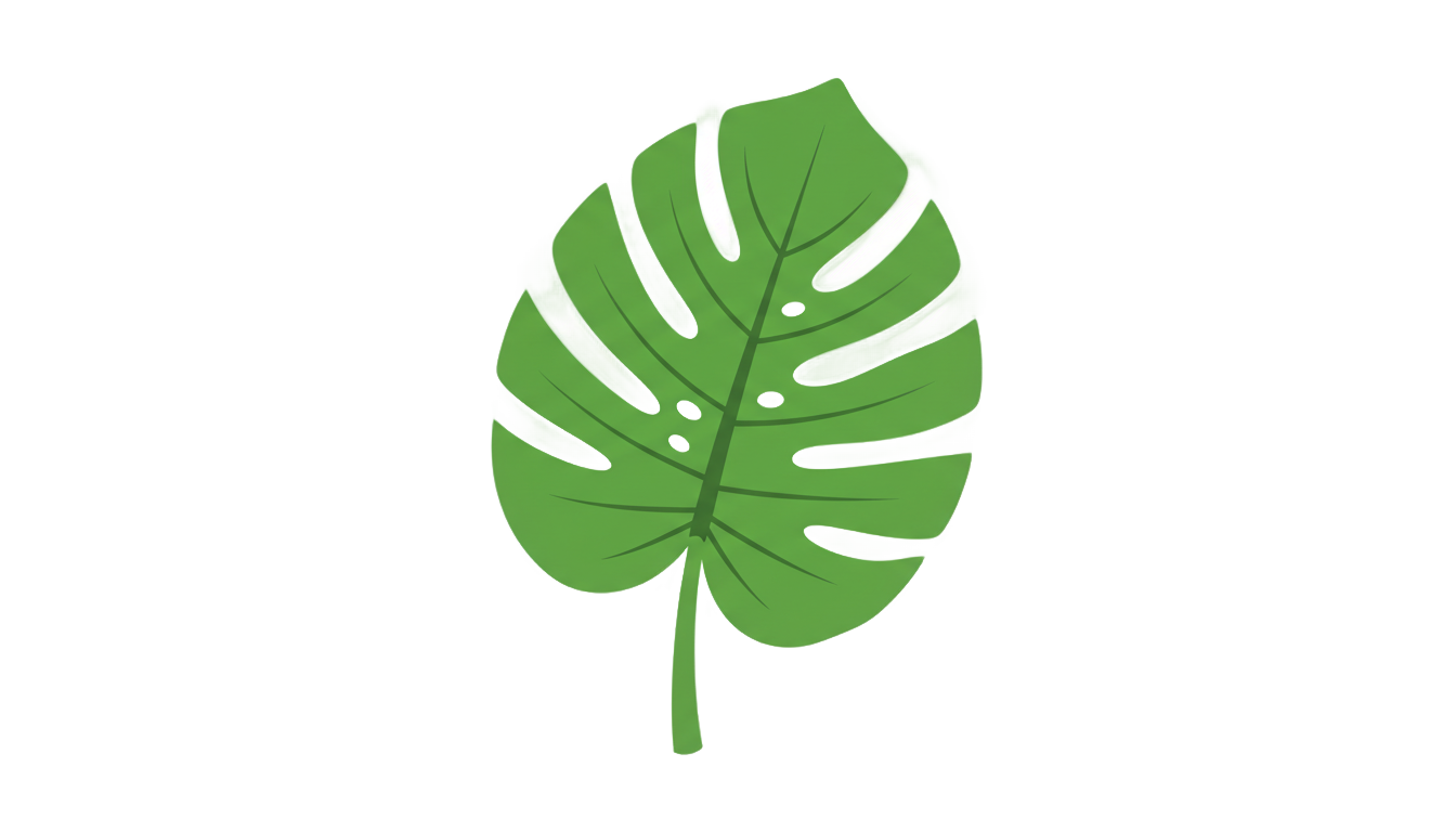 monstera leaf icon png PNG transparent background