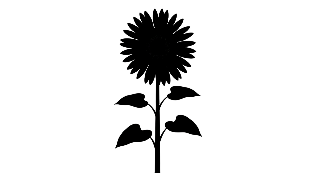 sunflower silhouette png PNG transparent background
