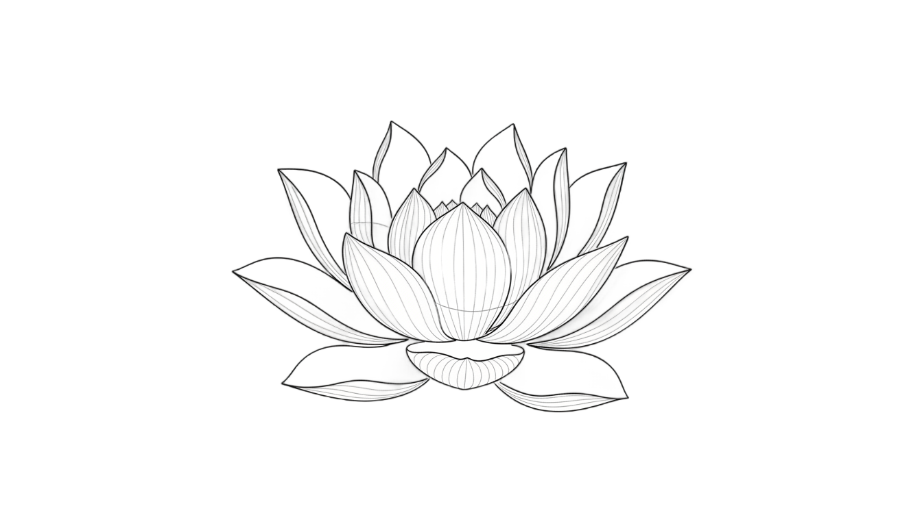 lotus line art png PNG transparent background