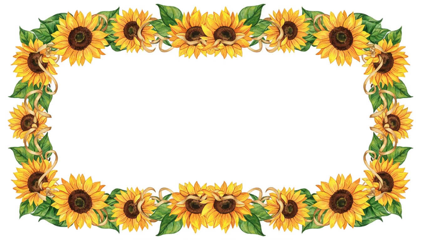 sunflower banner png PNG transparent background
