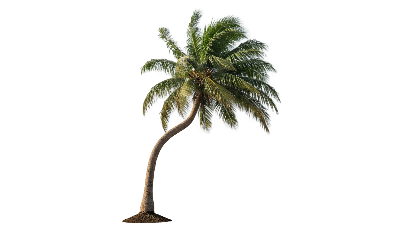 animated palm tree png PNG transparent background