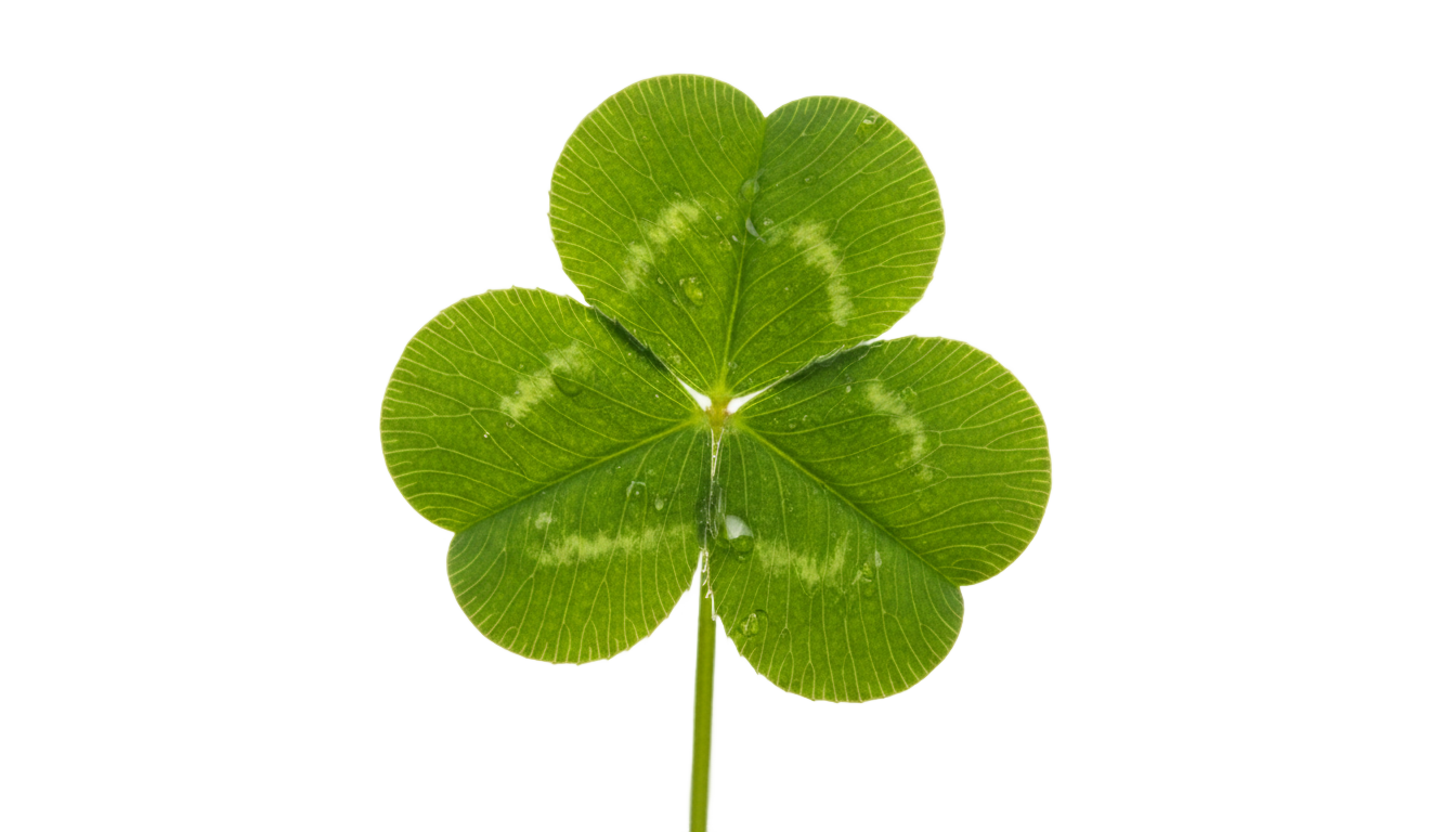 irish clover png PNG transparent background