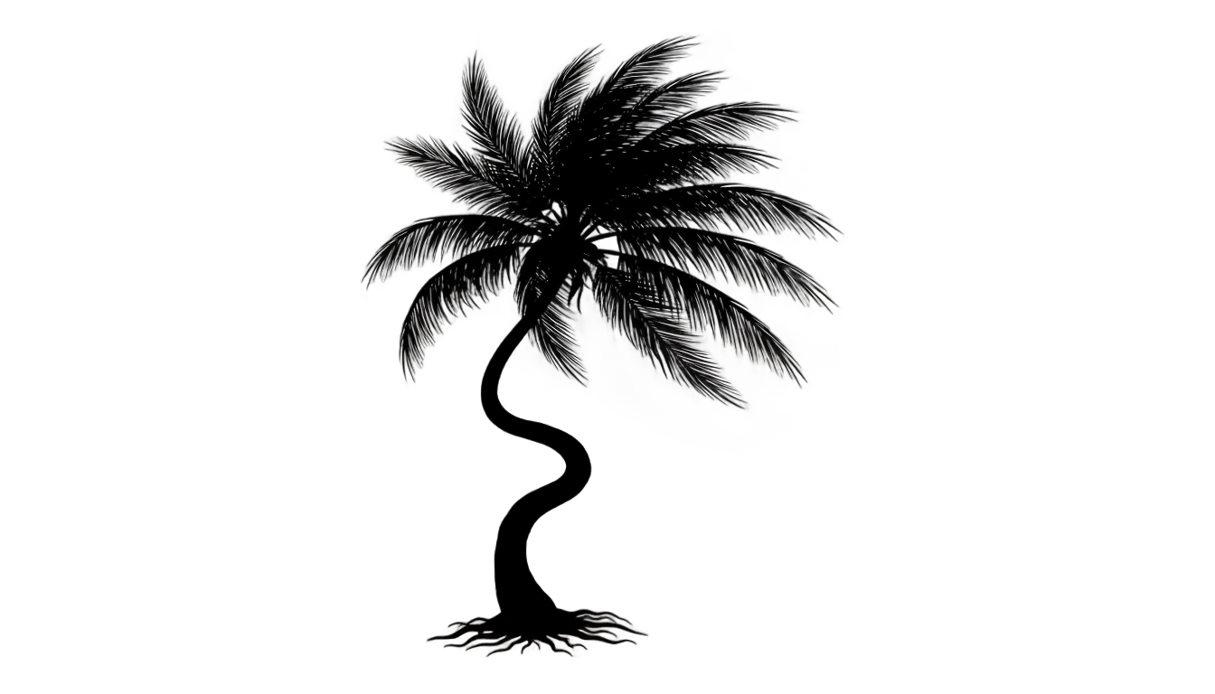 vector palm tree silhouette png PNG transparent background