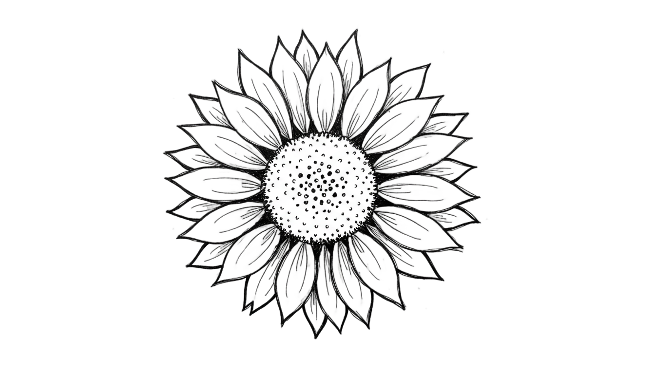 sunflower doodle png PNG transparent background