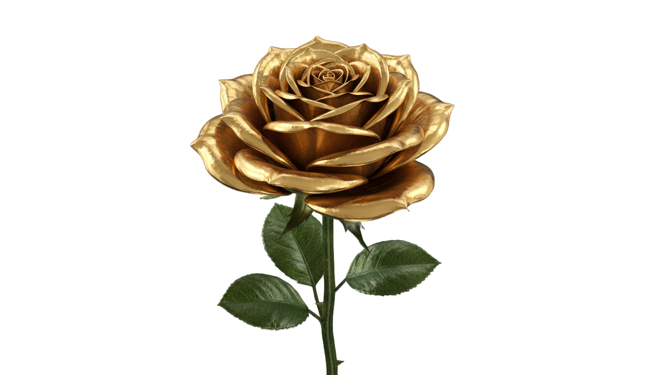 golden rose png PNG transparent background