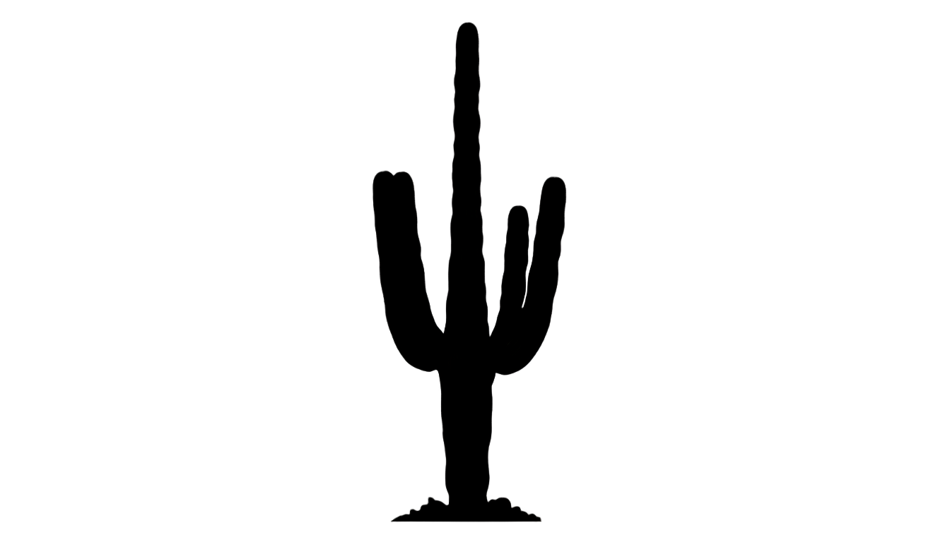 silueta cactus png PNG transparent background