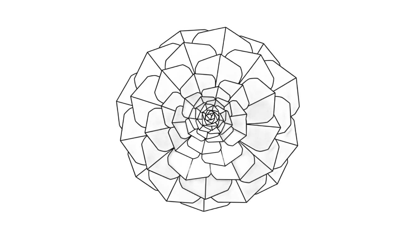 succulent outline png PNG transparent background