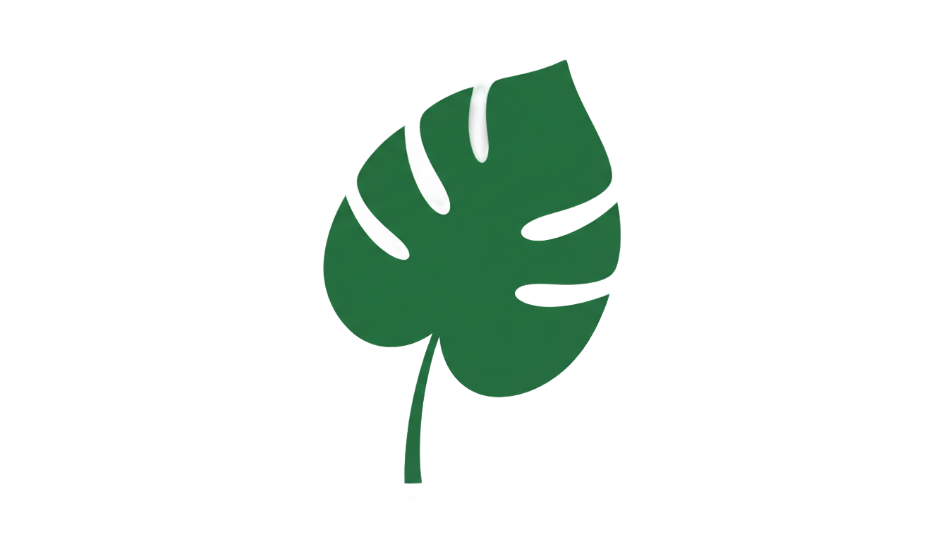 monstera icon png PNG transparent background