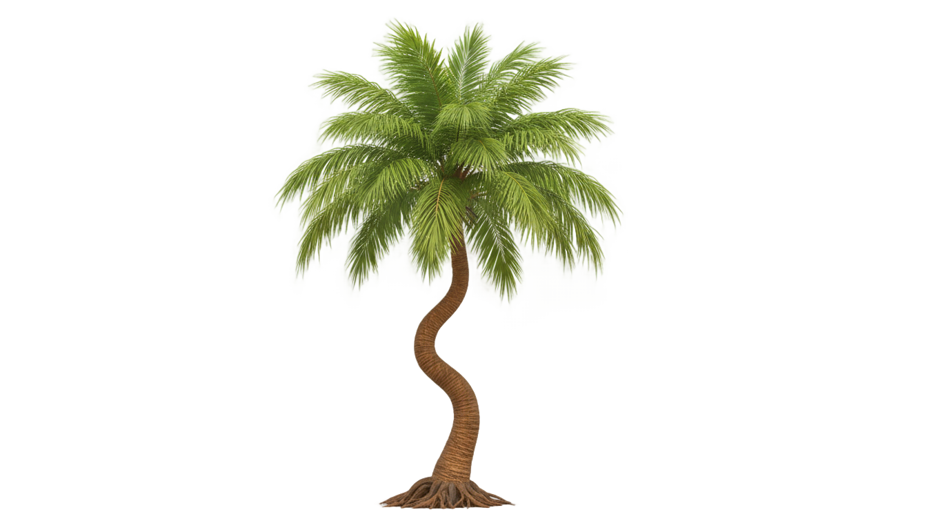 anime palm tree png PNG transparent background