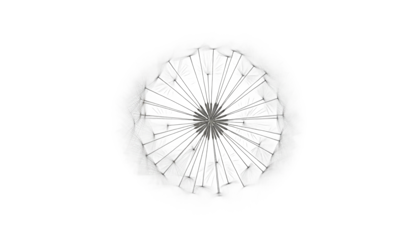 dandelion icon png PNG transparent background
