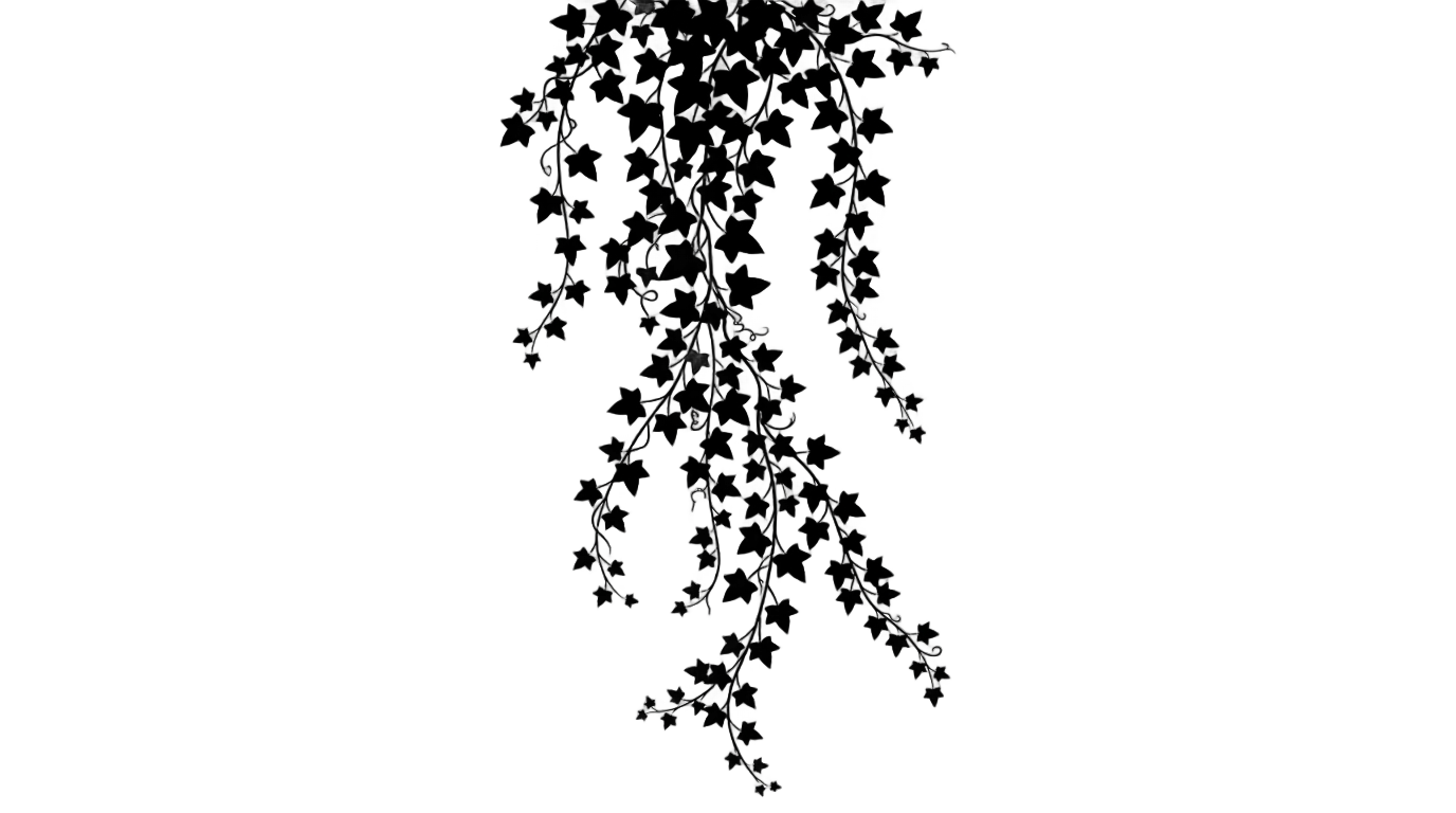 ivy silhouette png PNG transparent background