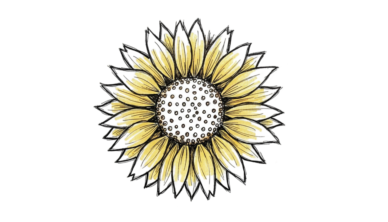 sunflower doodle png PNG transparent background