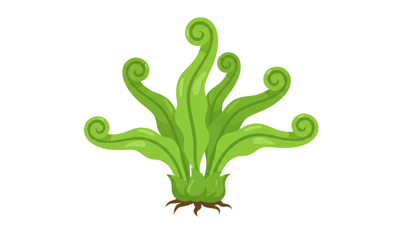 cartoon fern png PNG transparent background