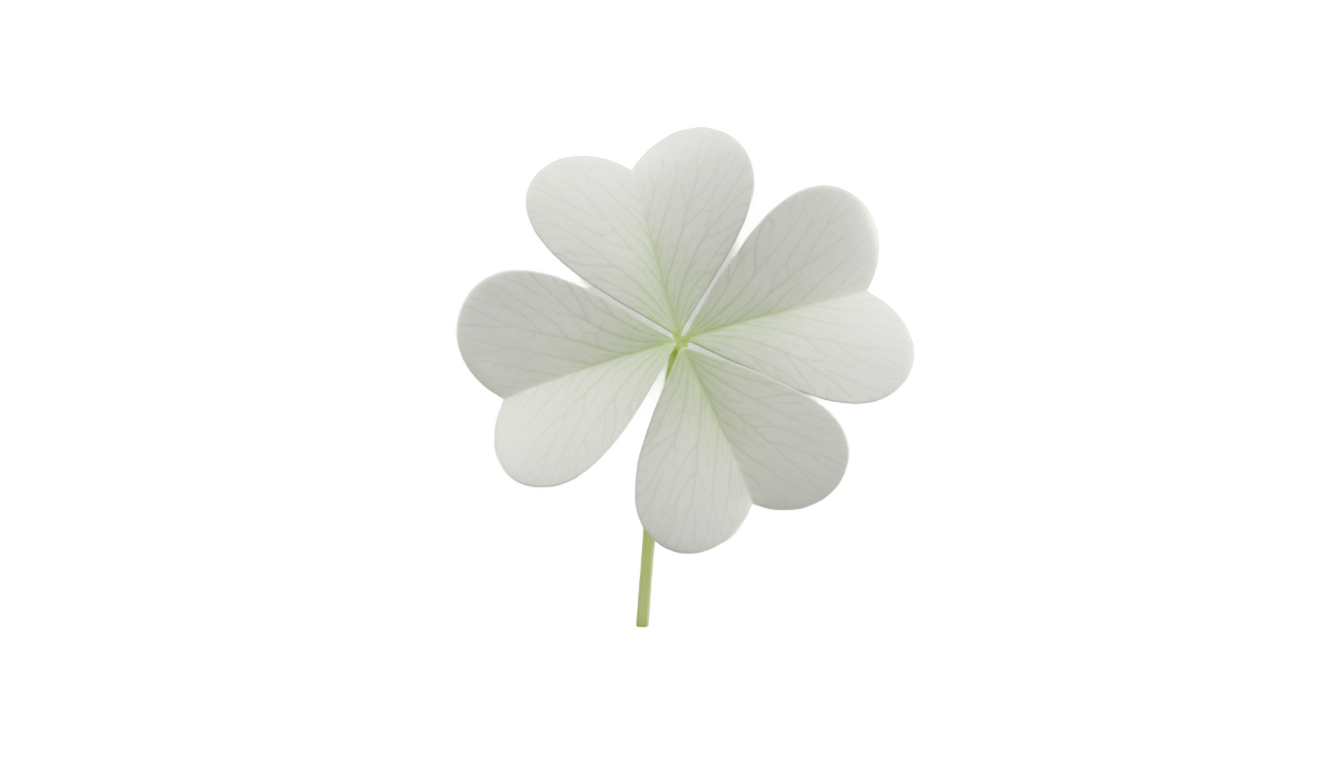 white four leaf clover png PNG transparent background