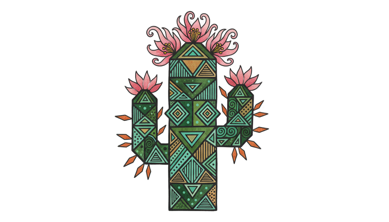 cactus illustration png PNG transparent background