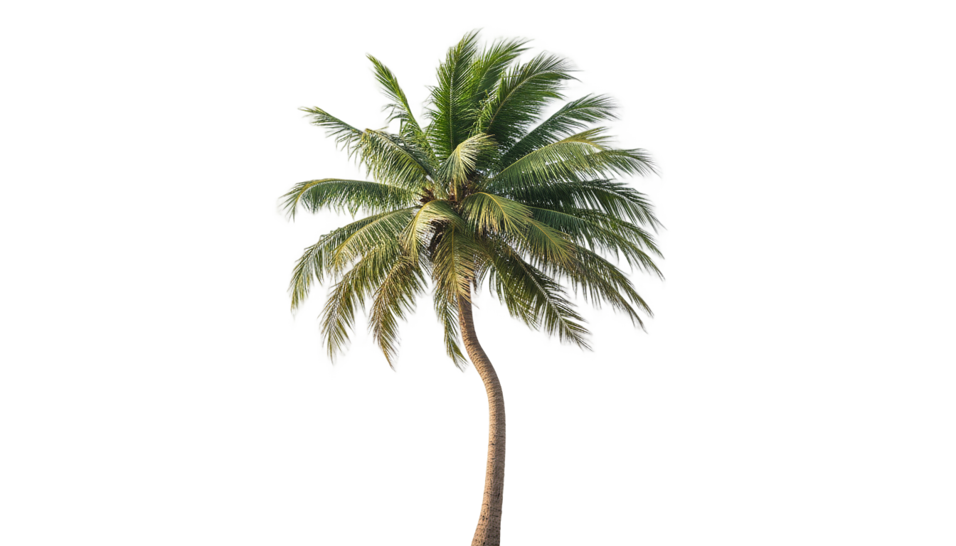 animated palm tree png PNG transparent background