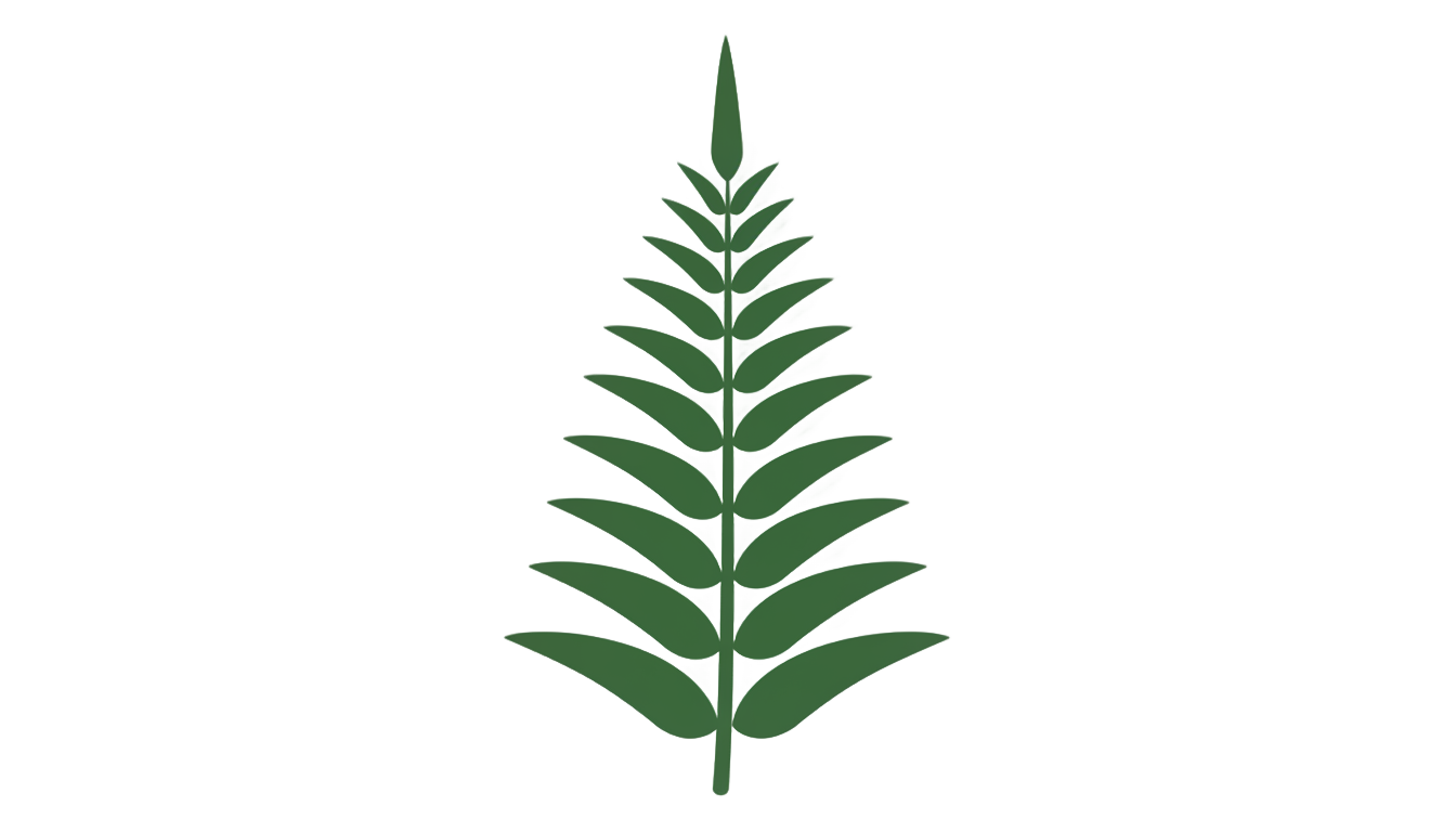 fern icon png PNG transparent background