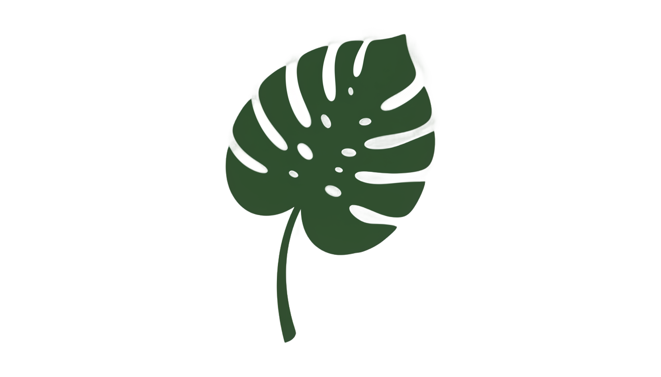 monstera icon png PNG transparent background